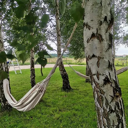 4 Pory Roku Darłowo
