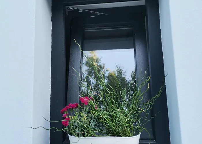 Apartment 4 Pory Roku